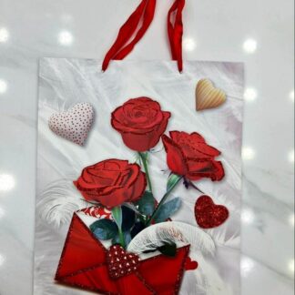Occasion Gift  Bag for Your Gifts